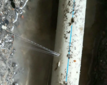 牧野卫生间测漏水多少钱